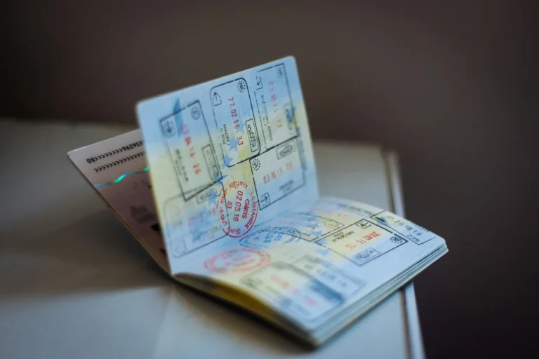 How Does the Visametric Visa Center Work in 2025?