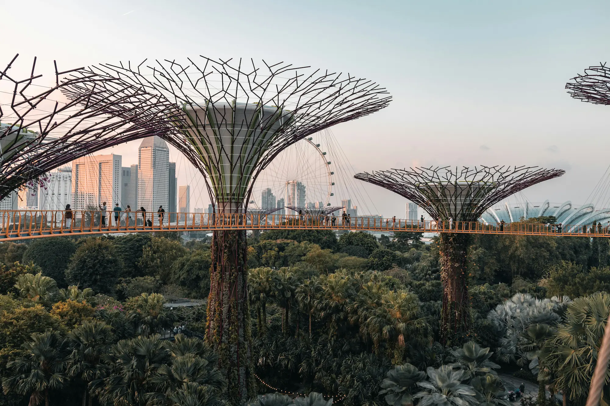 singapur vizası