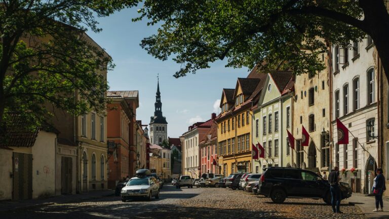 Nomad Vizası ilə Estoniyada Yaşamaq
