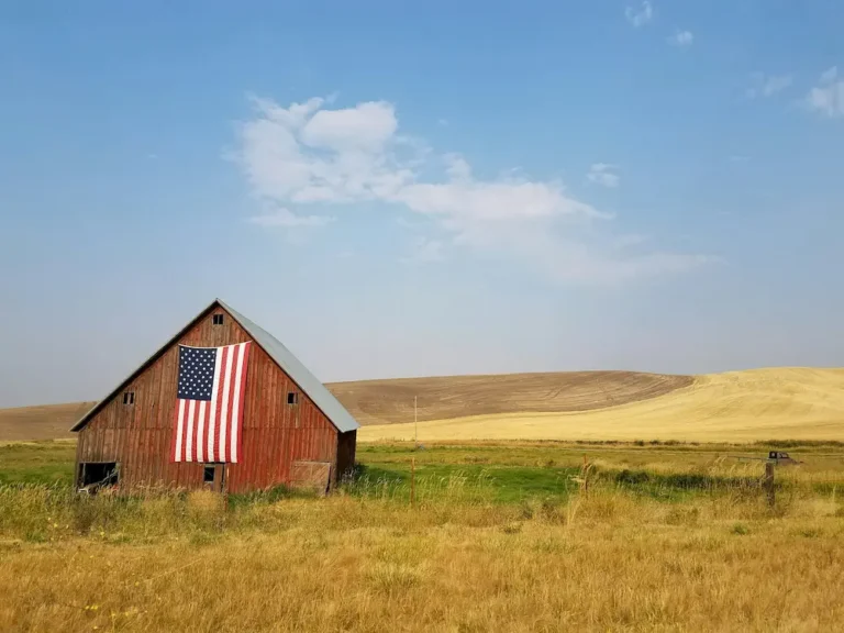 İş Vizası ilə Amerikaya Necə Getmək Olar?