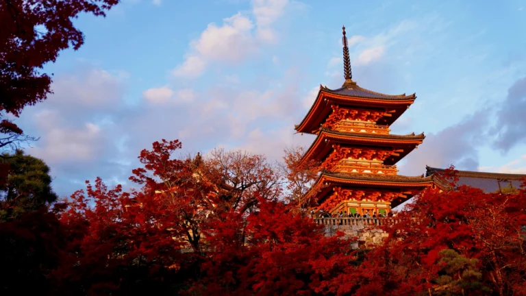 Sakura Mövsümü və Yaponiya Vizası Prosesi