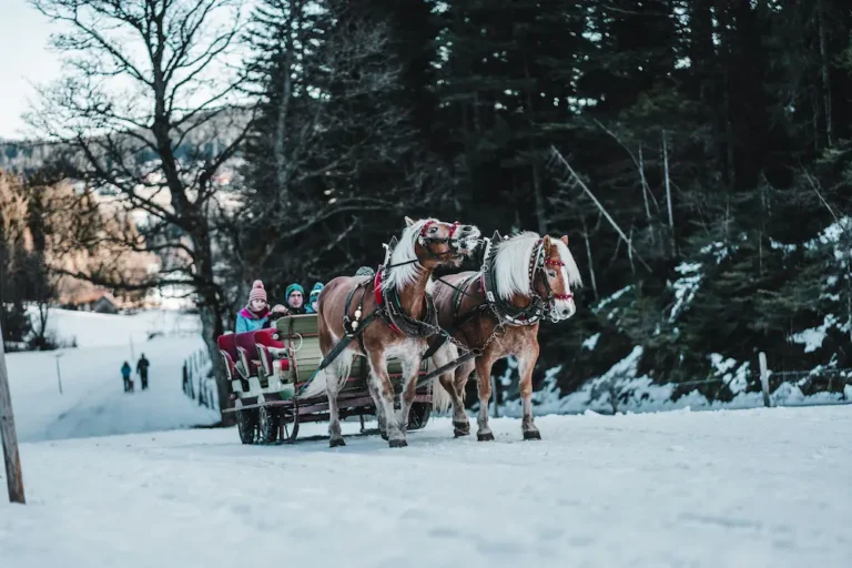 Finlandiya Vizası Haqqında Ən Çox Verilən Suallar